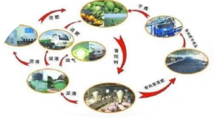 从牧场到餐桌的天然 配图4